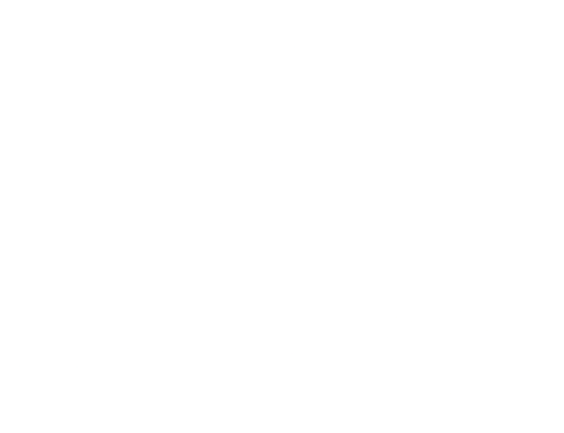Peak Warrior Wellness